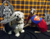 Max & Leo Hal 11.jpg